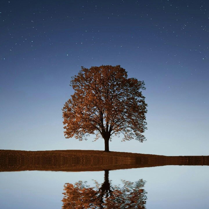 电视洗衣机小家电水电维修