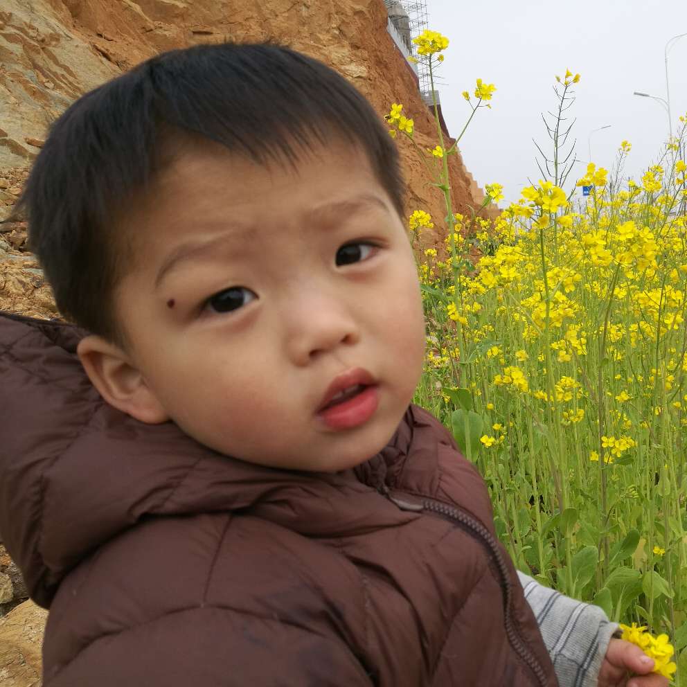 安装家具安装定制安装卫浴安装灯具