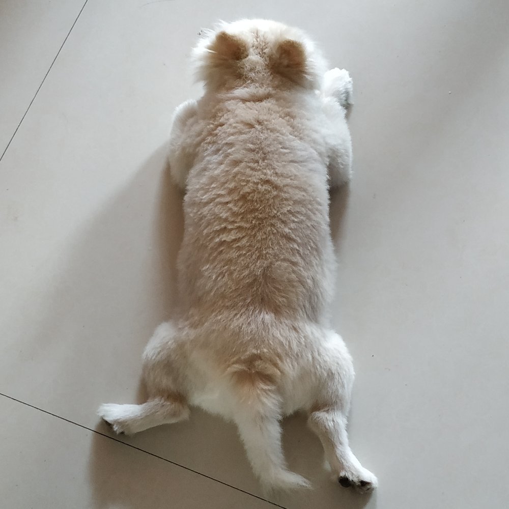 瓦工防水