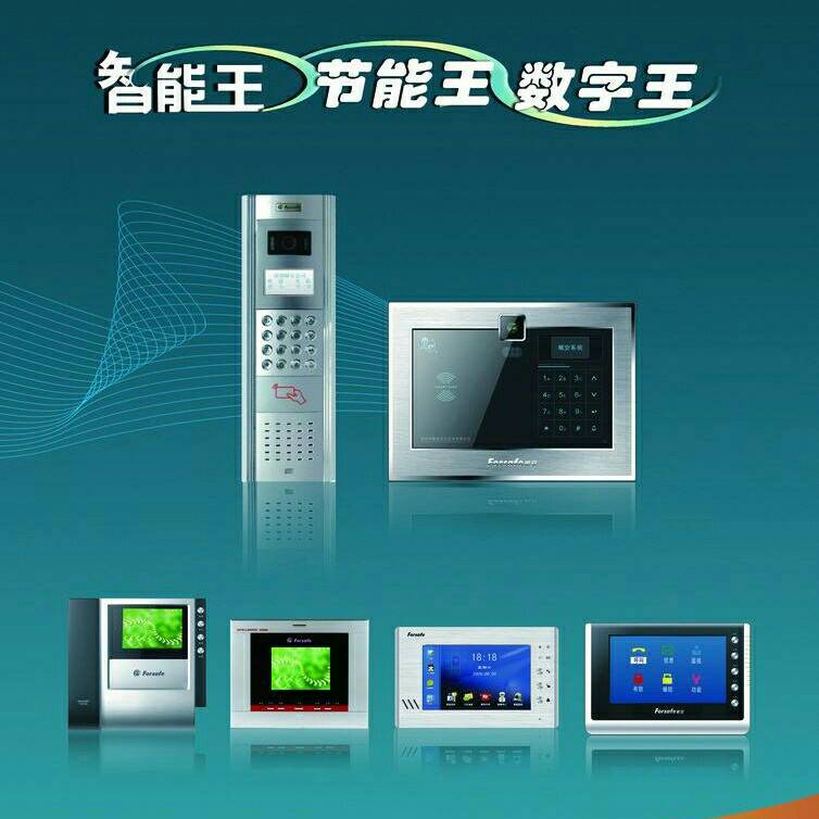 上门安装智能门禁系统，监控摄像头，楼宇可视对讲系统，智能充电桩，水电家电安装改网，厨卫水电暖安装维修，穿墙打孔，管道疏通