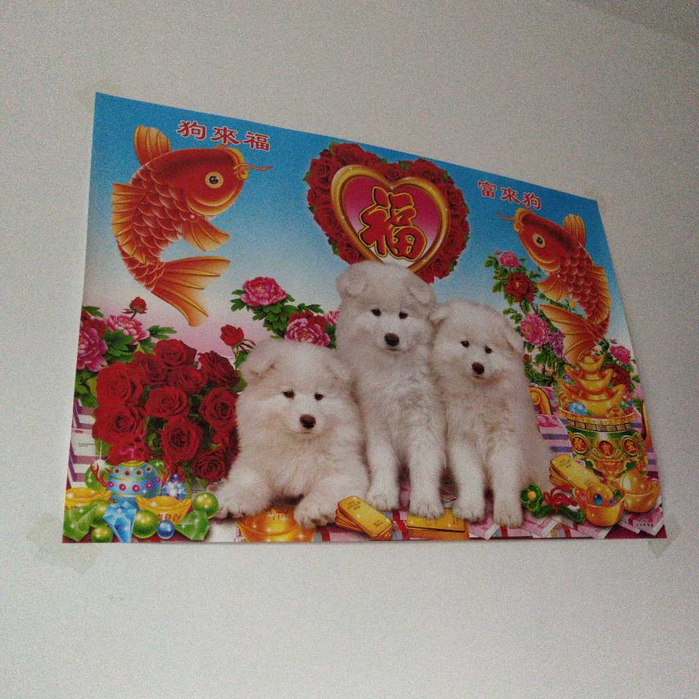 自由职业者