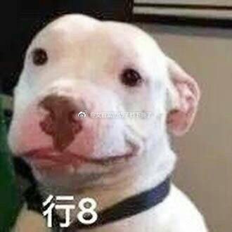 娱乐