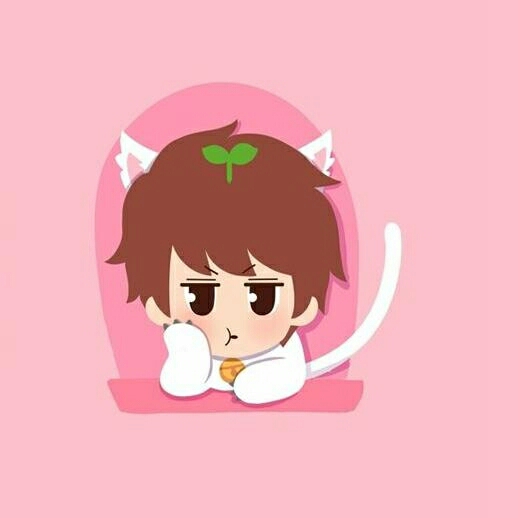 专业水电安装