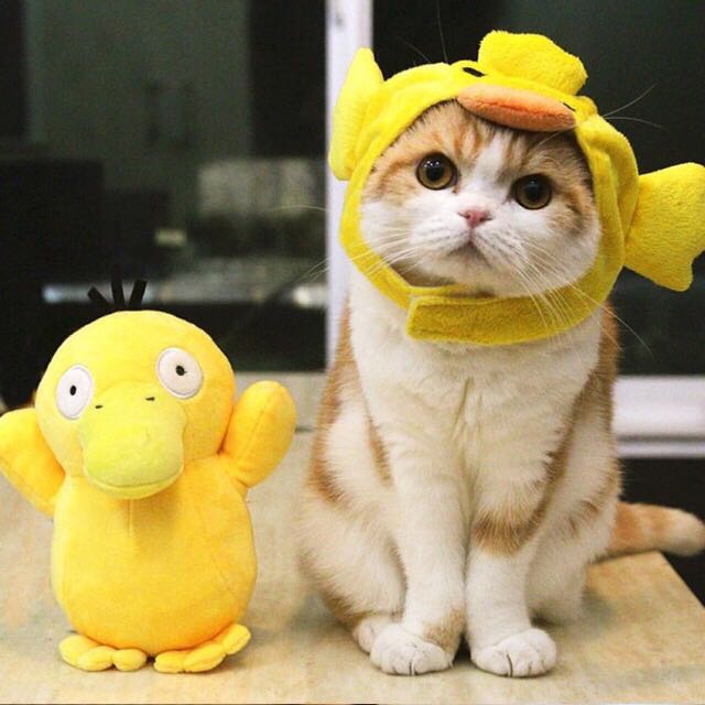 兼职随便看看