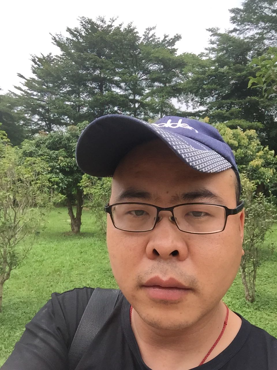 手机批发移动王卡