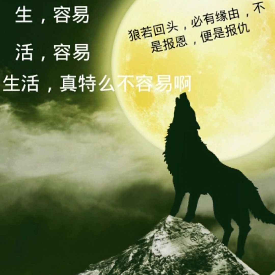家具美容修复