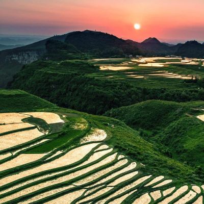 服务保险