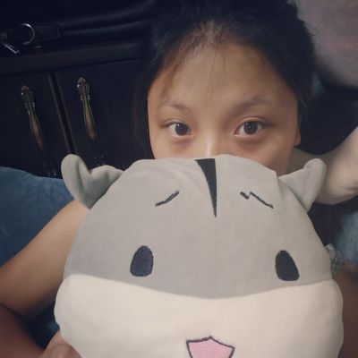 家装