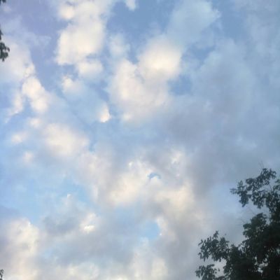 水电油漆瓦工