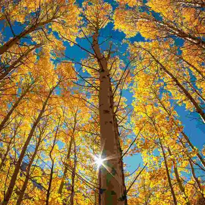 安装卷闸门安装电动门钢结构工程