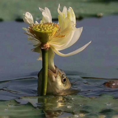 空调水电维修出售马桶灯具承接家庭装修水电卫浴安装