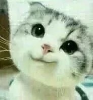 电工