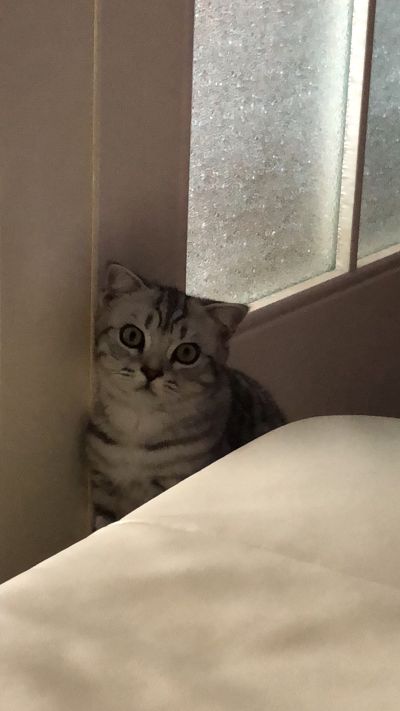 安装