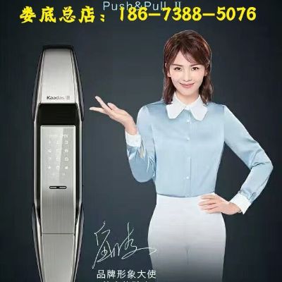 凯迪仕指纹锁
