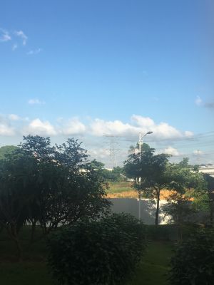 全能小哥