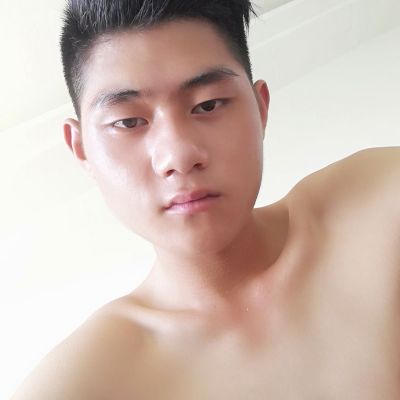 木工白灰水电