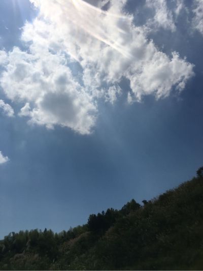 全能泥瓦工