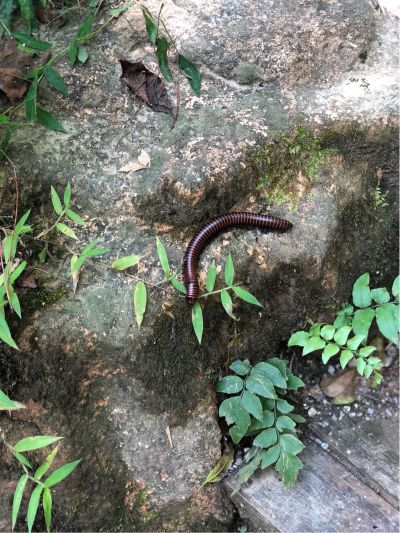 图片处理图片处理设计