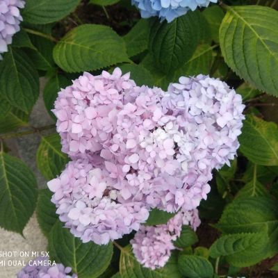 窗帘维修安装窗帘维修安装