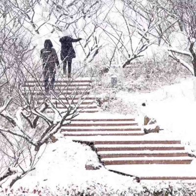 厨师
