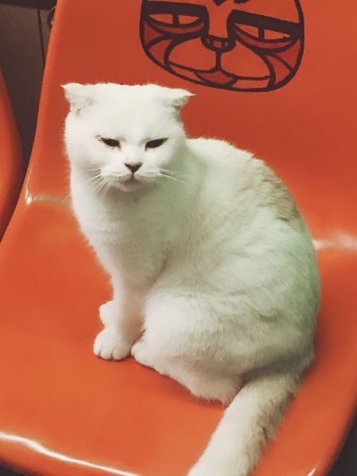 没有