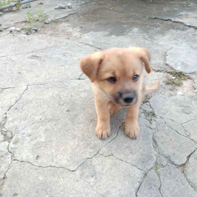 专业拆除拆旧敲墙11年家装工装都做全上海都去价格实惠