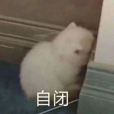 没有啊