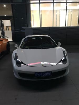 防损