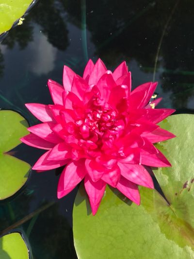 灯具洁具安装灯具卫浴安装水电工室内水电维修