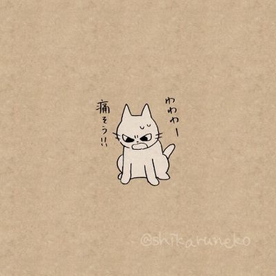 家政