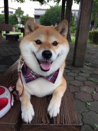 窗帘