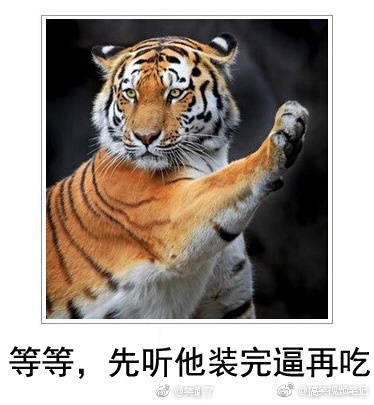 家装