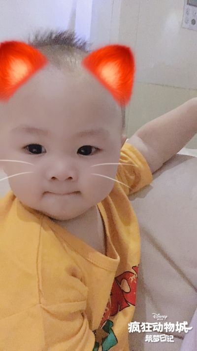 清洗油烟机