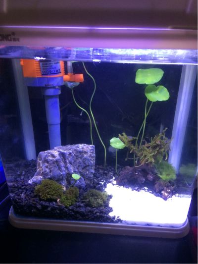 电脑水电监控