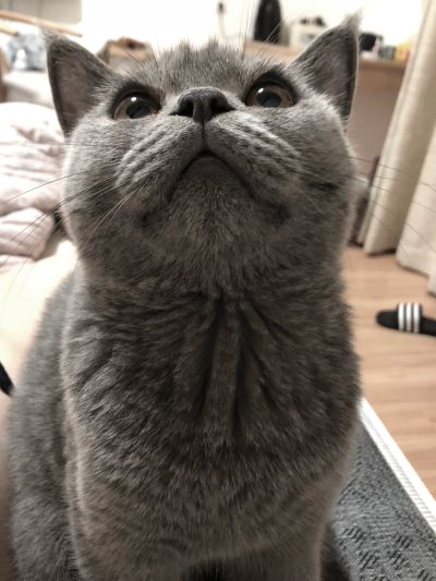 安装