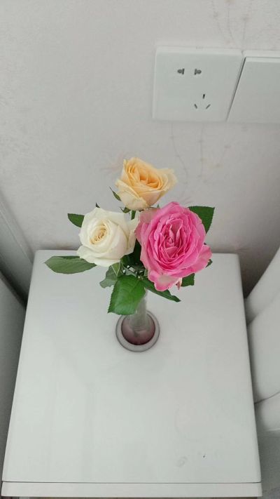 很小的一个磕碰伤痕 床 油漆美容修复