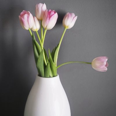 墙纸窗帘安装窗帘墙纸