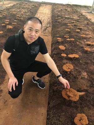 木工电工装修装饰施工装修家具电工