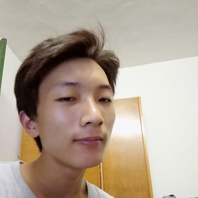 装灯具洁具等