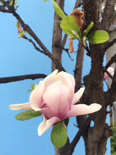 上班族
