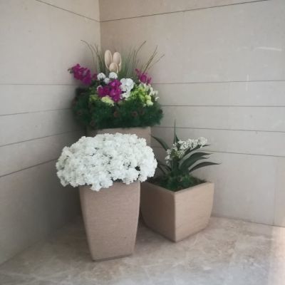 其它园林绿化绿植货运组装