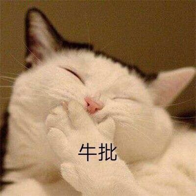 家庭清洁
