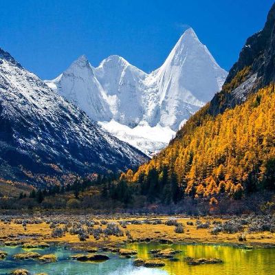 没有