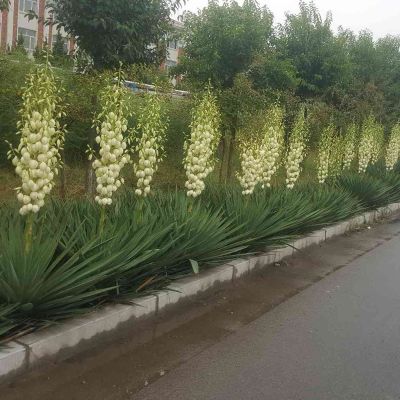 灯具卫浴