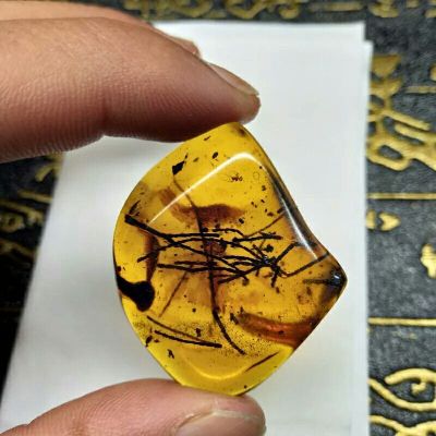 家居灯具卫浴