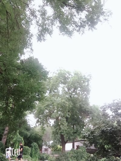 卫生保洁家政保洁