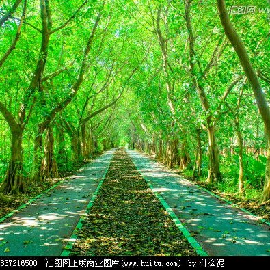 油漆