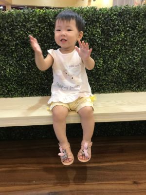 家电灯具洁具无