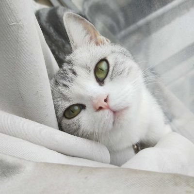 五金安装维修