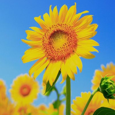 厨电卫浴安装卫浴厨电安装